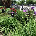 Park Place B&B